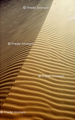 WORLD - Algerien - Grand Erg Oriental