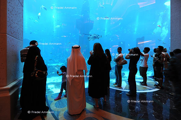 WORLD - Dubai - Jumeira Palm Hotel