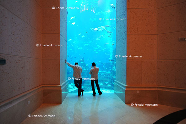 WORLD - Dubai - Jumeira Palm Hotel