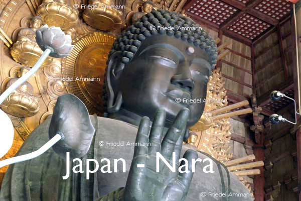 WORLD – Japan – Bronze Statue Daibutsu Buddha, Todaiji Temple, Nara