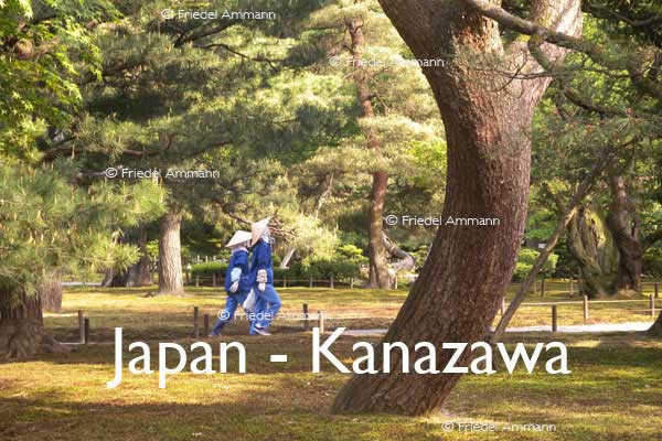 WORLD – Japan – Kenrokuen Garden, Kanazawa