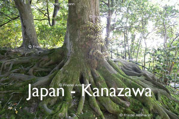 WORLD – Japan - Kenrokuen Garden, Kanazawa