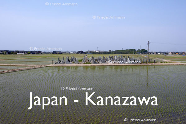 WORLD – Japan – Cemetery in a Rice Field