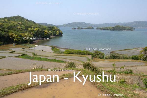 WORLD – Japan – Rice Fields, Kyushu