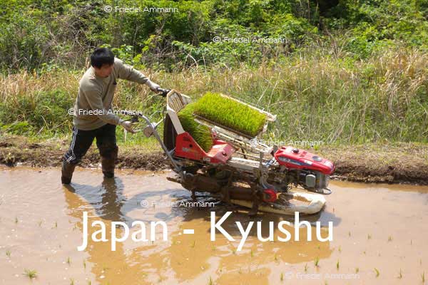 WORLD – Japan – Rice Farmer