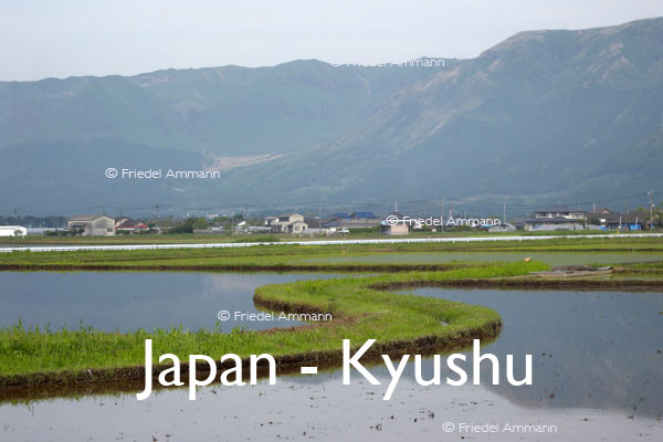 WORLD – Japan – Rice Fields, Aso, Kyushu