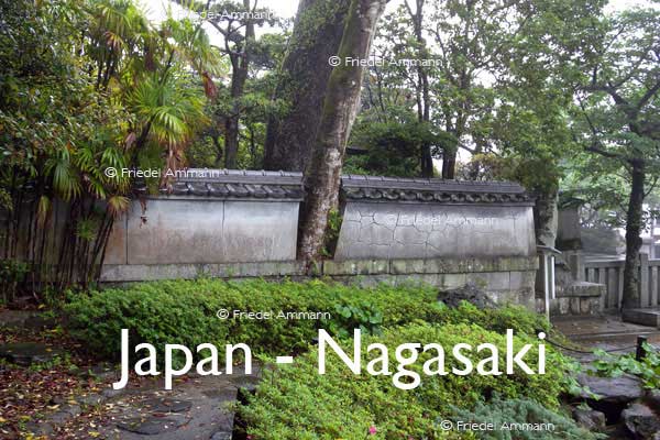 WORLD – Japan – Tree in Wall