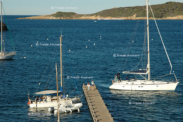 WORLD - France - Port Cros