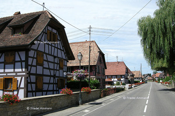 WORLD - France - Sundgau