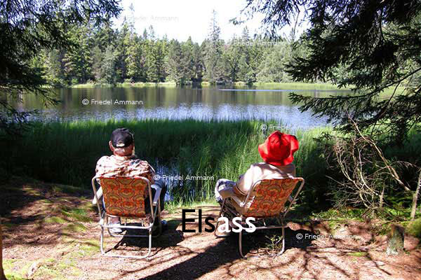WORLD – France, Elsass - Lac vert ou de Soultzeren