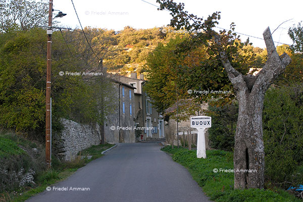 WORLD - France, Provence – Luberon, Buoux