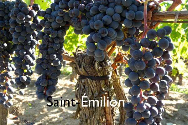 WORLD - France, Sud Ouest – Saint-Émilion