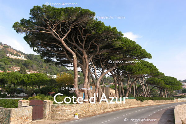 WORLD - France, Côte d’Azur l’ouest 