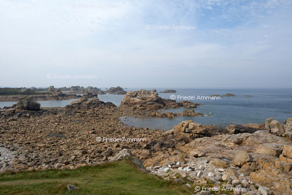 WORLD – France, Bretagne - Penvénan