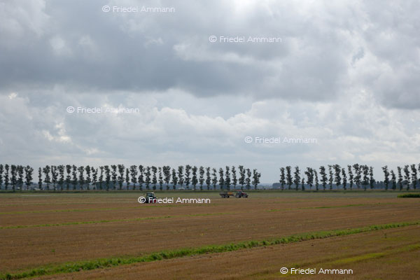WORLD – France, Bretagne