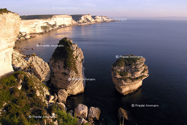 WORLD - France, Korsika, Corsica - Bonifacio