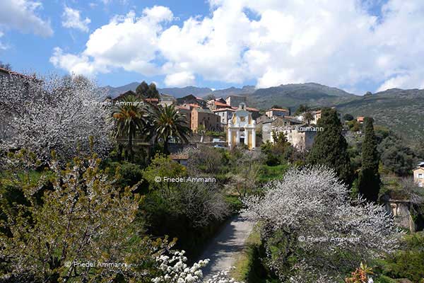 WORLD - France, Korsika, Corsica
