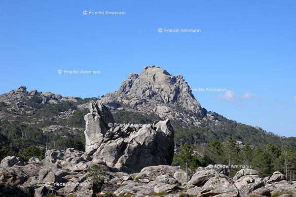 WORLD - France, Korsika, Corsica - Bavella-Massiv