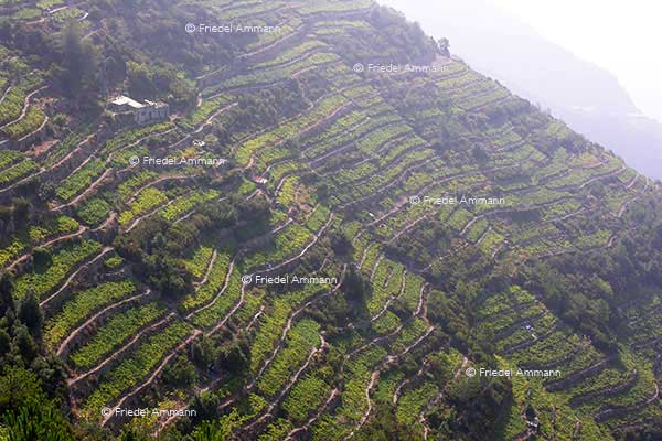 WORLD – Italia, Cinque Terre