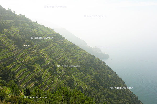 WORLD – Italia, Cinque Terre