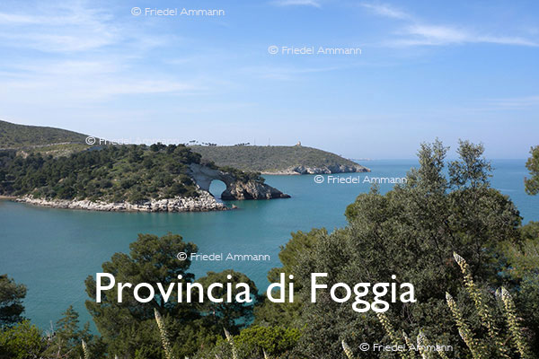 WORLD - Italia, Sud – Peschici, Provincia di Foggia