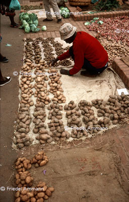 WORLD - Malawi - Lilongwe, Market