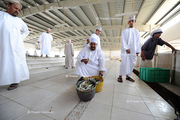 WORLD – Oman – Fishmarket, Sur
