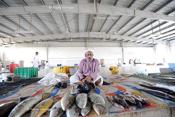 WORLD – Oman – Fishmarket, Sur