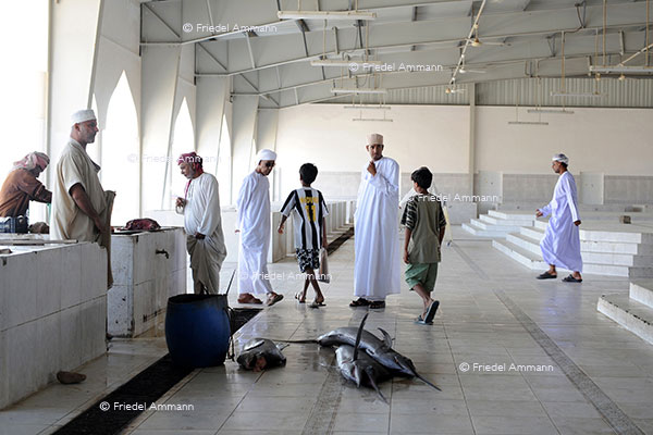 WORLD – Oman - Fishmarket, Sur