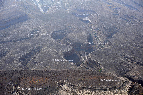 WORLD – Oman - Sur - Wahiba Sands - Wadi Beni Khalid
