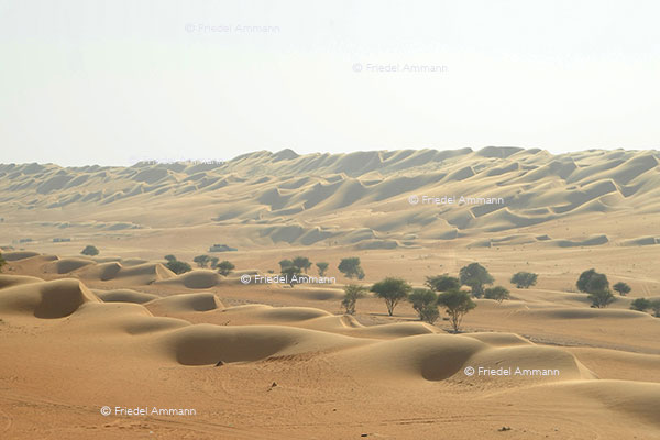 WORLD – Oman - Wahiba Sands
