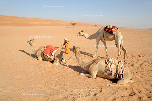 WORLD – Oman - Wahiba Sands