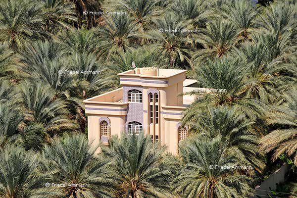 WORLD – Oman - Birkar Al Mauz