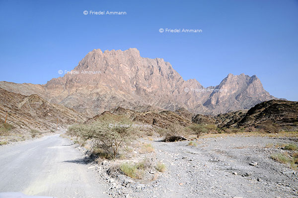 WORLD - Oman - Nizwa - Muskat