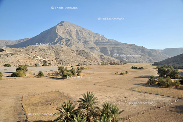 WORLD - Oman - Musandam