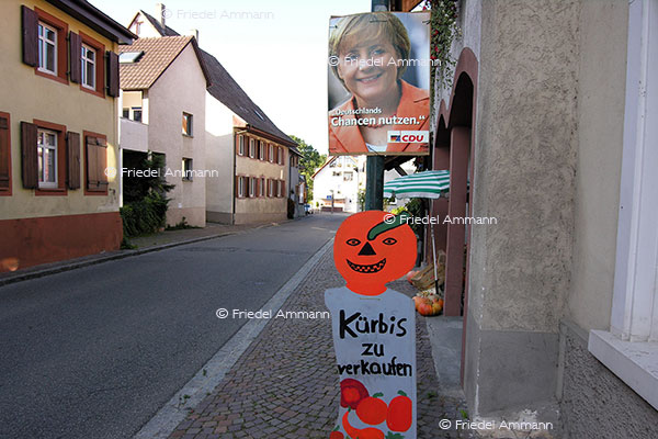 WORLD – Politics / History – German Elections 