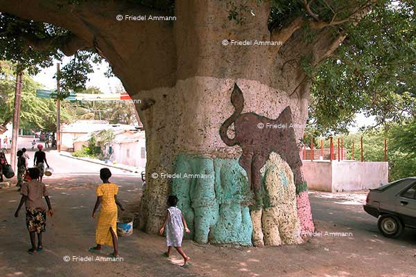 WORLD - Senegal - Baobab, Dakar