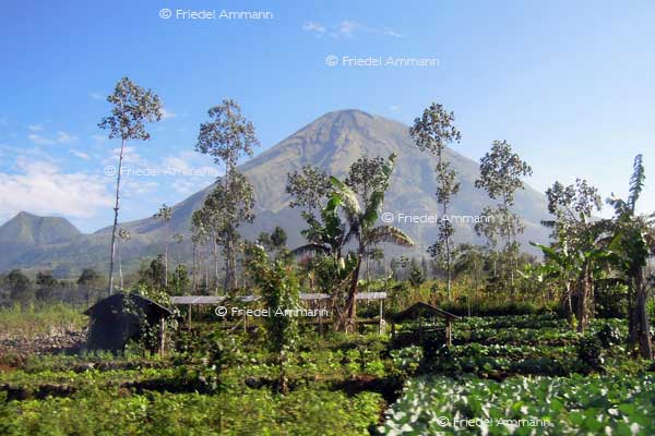 WORLD – Indonesien, Java - Merapi