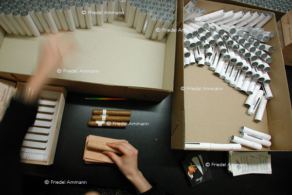WIRTSCHAFT / ECONOMY - Handwerk / Craft - Zigarren Verpackfachfrau / Cigar Wrapping