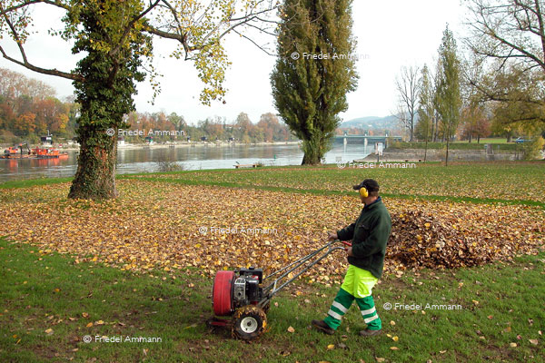 WIRTSCHAFT / ECONOMY - Handwerk / Craft – Gärtner / Gardener