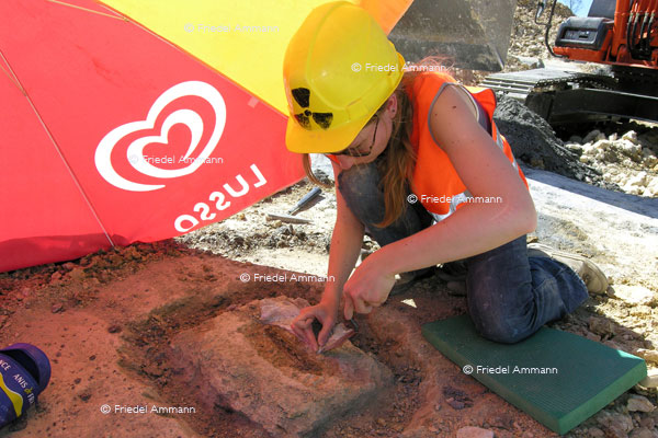 WIRTSCHAFT / ECONOMY - Handwerk / Craft – Archäologin / Archaeologist 