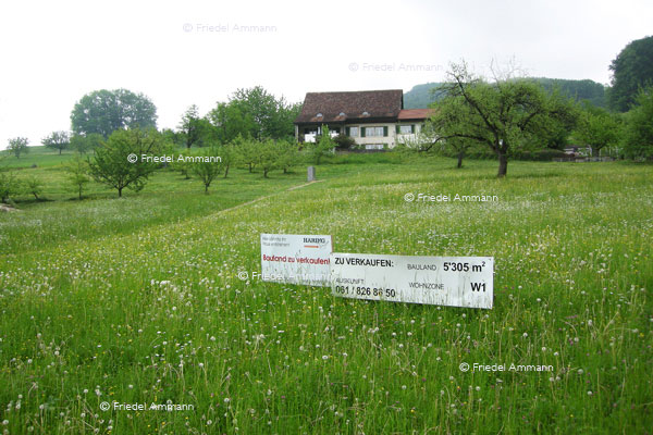 WIRTSCHAFT / ECONOMY – Architektur / Building 