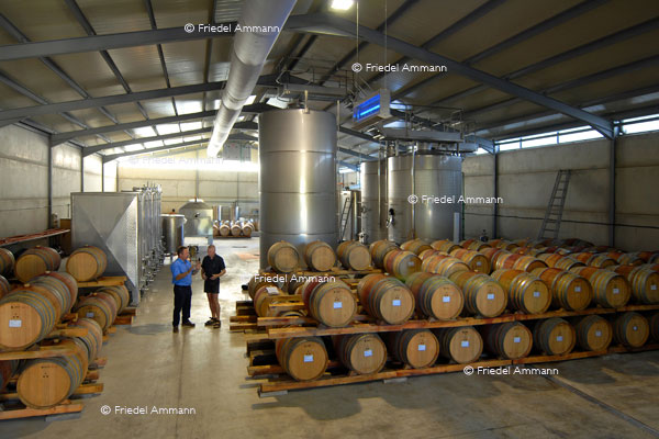 WIRTSCHAFT / ECONOMY - Landwirtschaft / Agriculture - Casa Lo Alto - Utiel-Requena, Spanien