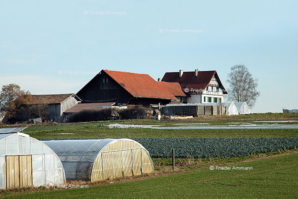 WIRTSCHAFT / ECONOMY - Landwirtschaft / Agriculture 