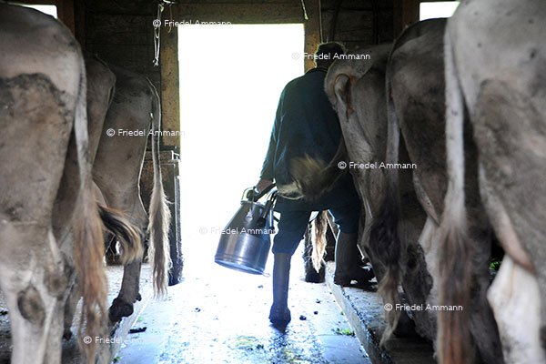 WIRTSCHAFT / ECONOMY - Landwirtschaft / Agriculture 