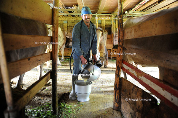 WIRTSCHAFT / ECONOMY - Landwirtschaft / Agriculture 