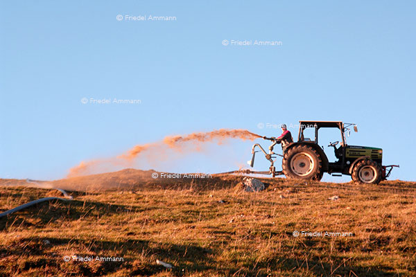 WIRTSCHAFT / ECONOMY - Landwirtschaft / Agriculture 