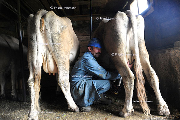 WIRTSCHAFT / ECONOMY - Landwirtschaft / Agriculture 