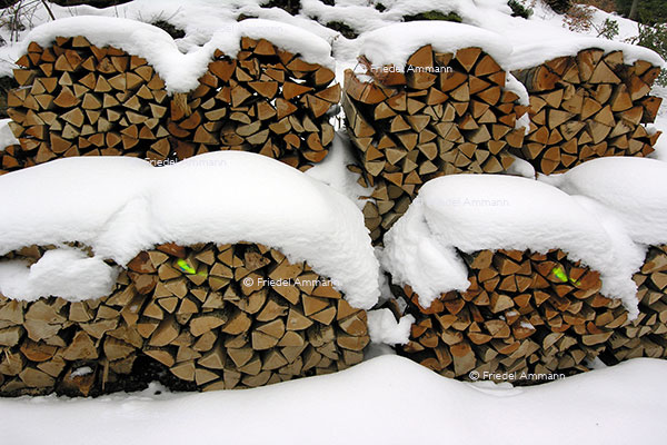 WIRTSCHAFT / ECONOMY - Landwirtschaft / Agriculture – Forstwirtschaft / Forestry