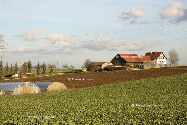 WIRTSCHAFT / ECONOMY - Landwirtschaft / Agriculture 